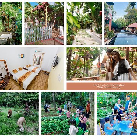 Hue Lotus Homestay 外观 照片