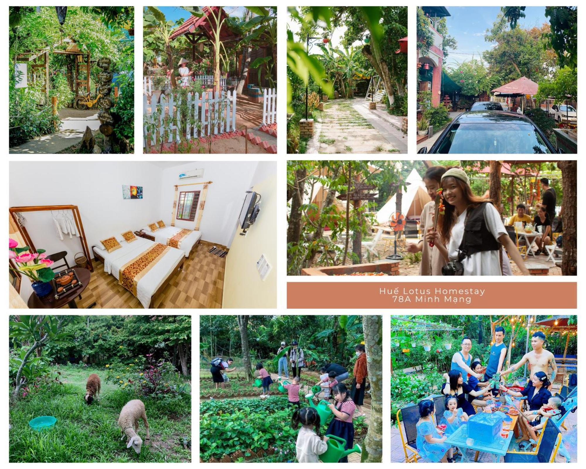 Hue Lotus Homestay 外观 照片